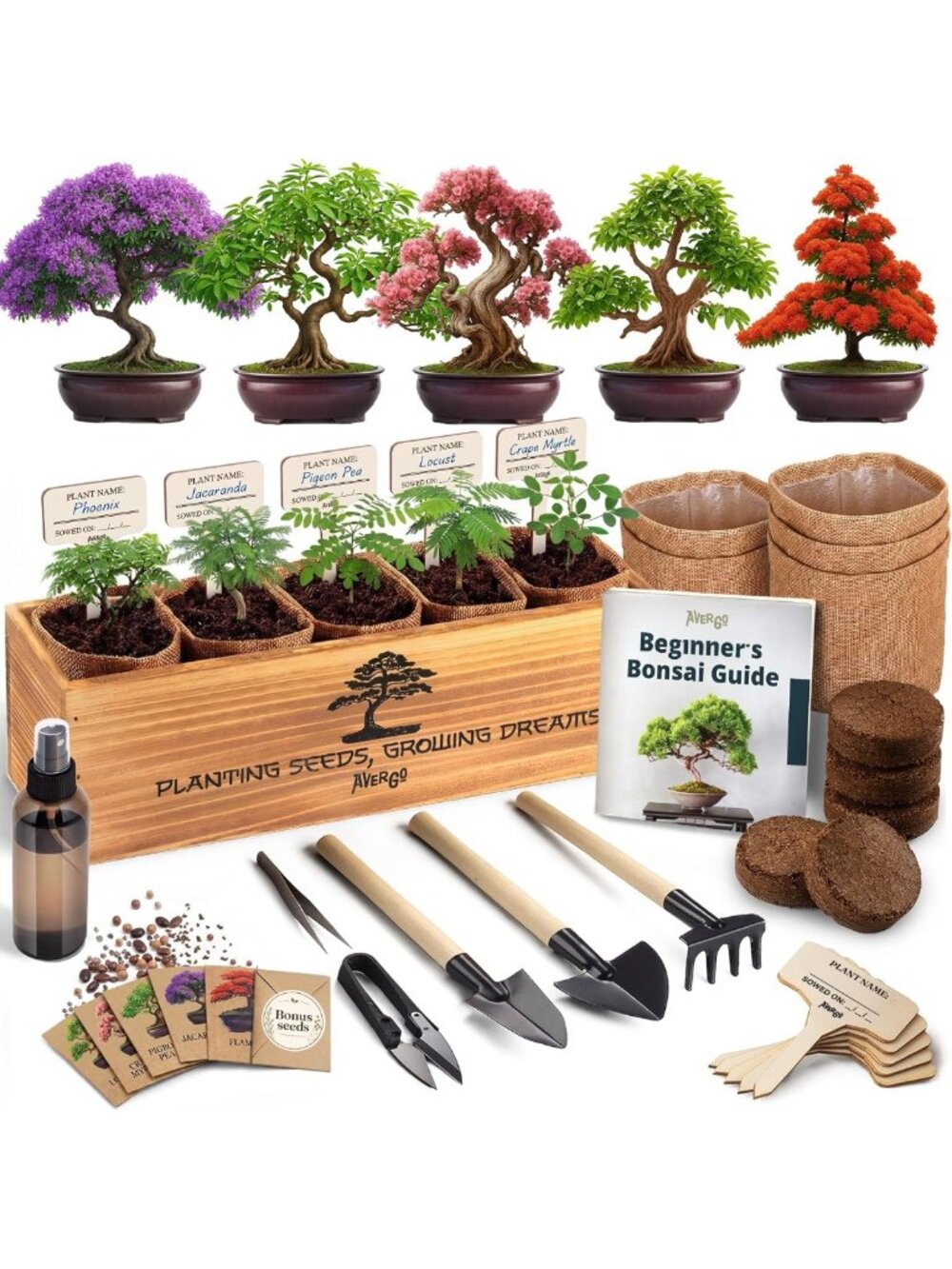 Deluxe Bonsai Tree Kit - 5 Unique Japanese Trees | Complete Indoor Gardening